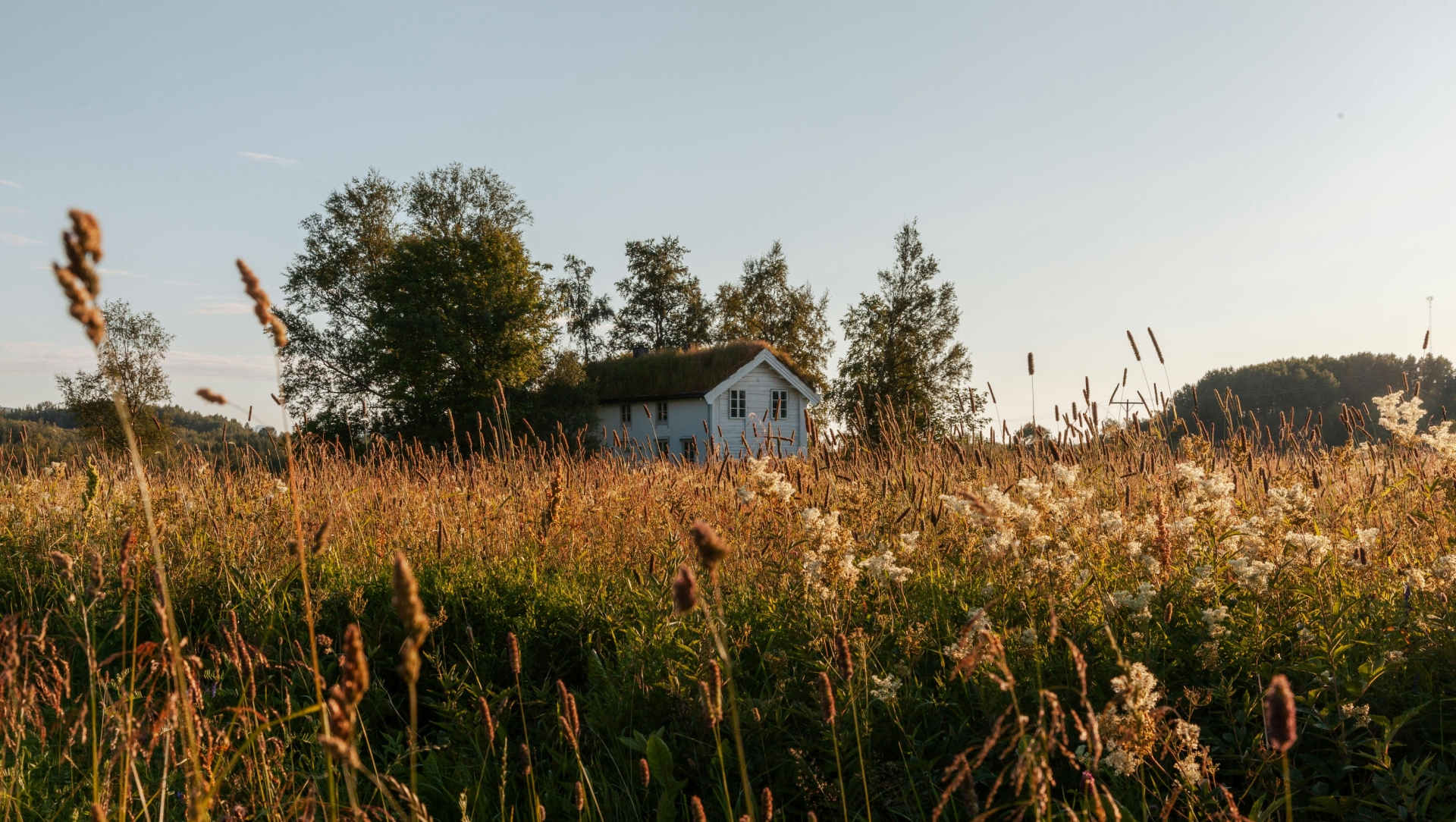 Hus i blomstereng.